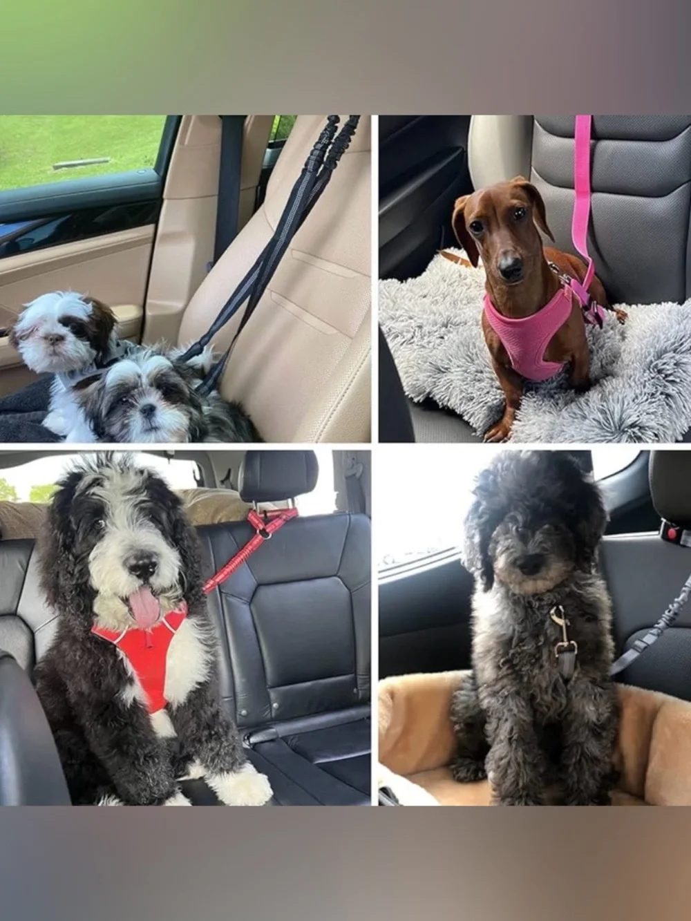 💞 New Reflective Orange Stretchable & Adjustable Puppy Dog Car Seat Belt Leash